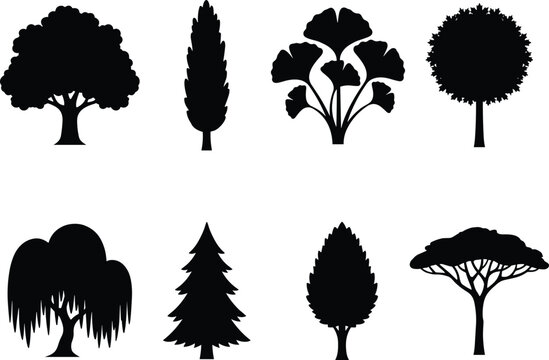 Collection of various tree silhouettes including oak pine willow and cypress isolated on white background