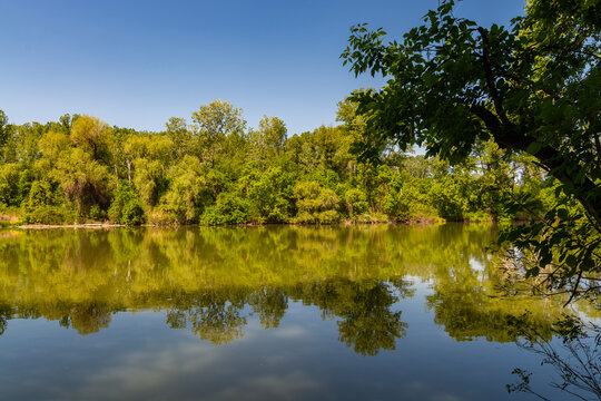 Martely backwater of the Tisza river