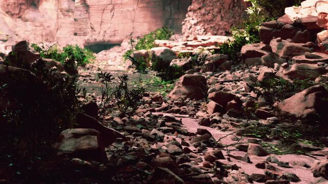 The setting shows rocks scattered along the ground with various plants around them. Sunlight shines on the scene from above. The area appears untouched and natural, with earthy tones.
