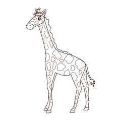 Fototapeta premium Cute giraffe coloring page vector illustration. Cartoon safari animal outline isolated on white for kids books, worksheets, preschool education and printable coloring.