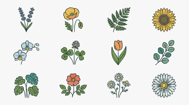 Elegant Floral Floral Variety Collection.