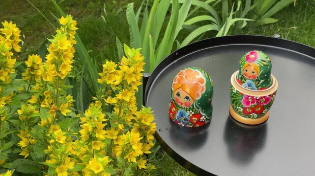 Matryoshka Dolls Amidst Nature: Two vibrantly painted Russian nesting dolls rest on a dark, round surface, positioned beside a blooming bush of bright yellow flowers.