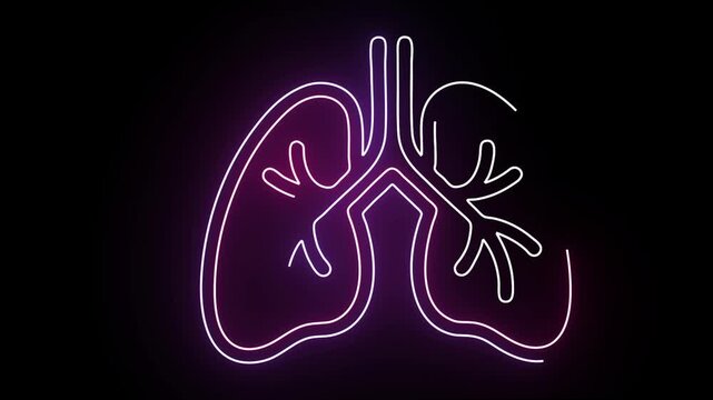 Neon Pink Lungs Outline Vector Animation Design Featuring A Pulsating Bronchial Tree Structure Against A Solid Black Background Representing Human Respiratory Health And Medical Awareness Science Grap