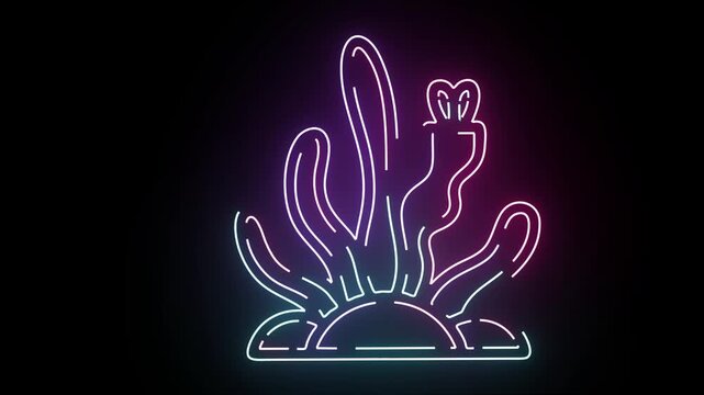 Glowing neon coral reef plant seaweed graphic vector style animation with flickering pink purple and blue light lines on a dark black background ideal for retro science fiction and underwater themes