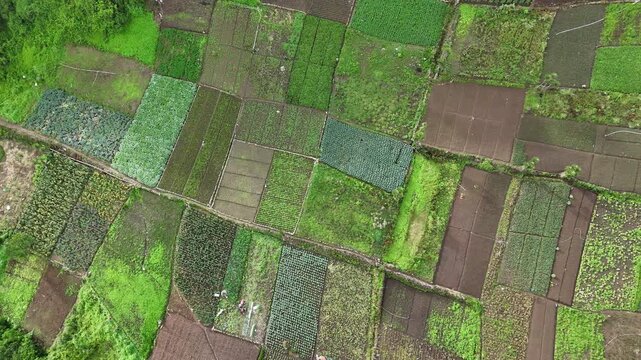 Drone footage flying horizontally across cultivated agricultural fields with diverse vegetable crops. Aerial view of patchwork farmland, food production and sustainable rural agriculture.