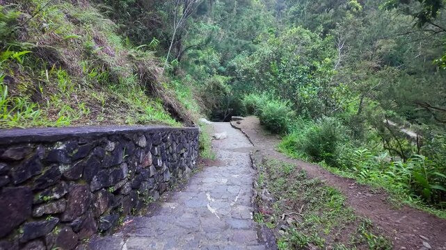 Scenic footage in the ruins of the Old Thermes of Hell-Bourg in Salazie, La R&eacute;union, are the remains of a 19th-century spa, a luxurious destination known for its healing, Vichy-like mineral waters.	