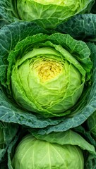 Fototapeta premium berza, alimento, verduras, hojas, agricultura, salubre, organica, fresco, fábrica, aislada, vegetariana, crudo, naturaleza, huerta, administrar, ensalada, ingrediente, chacras, nutrición, saboya, verd