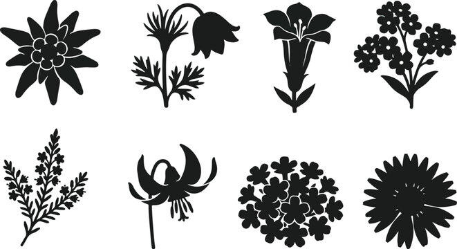 Alpine flowers black silhouette vector icon set featuring edelweiss gentian and mountain flora elements