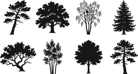 Obraz premium Forest Tree Silhouette Collection with Deciduous and Evergreen Landscape Elements