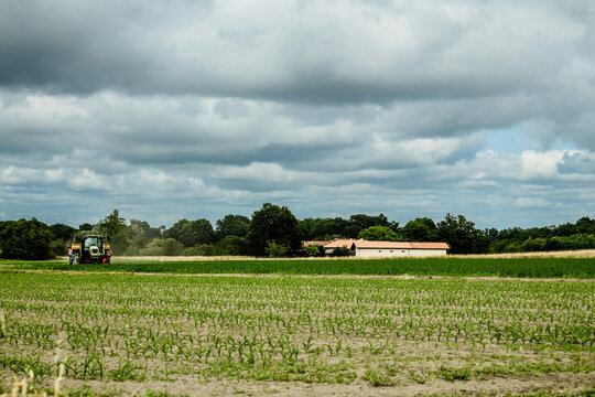 Farmer putting fertilizer in his corn fields