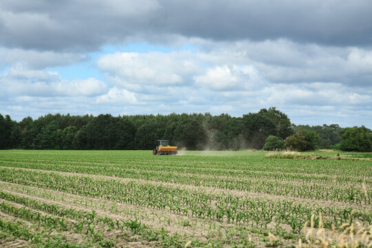 Farmer putting fertilizer in his corn fields