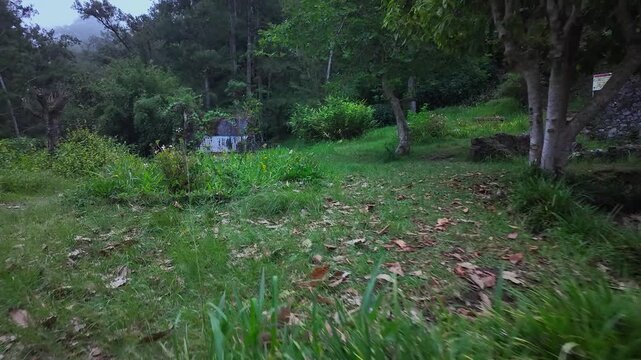 Scenic footage in the ruins of the Old Thermes of Hell-Bourg in Salazie, La R&eacute;union, are the remains of a 19th-century spa, a luxurious destination known for its healing, Vichy-like mineral waters.	