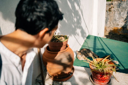 Cat Rests Near Person in Sunlit Garden at Midday