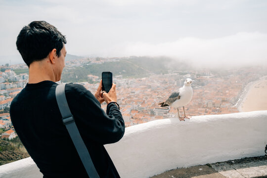 Person Takes Picture of Seagull at Viewpoint in Coastal Town