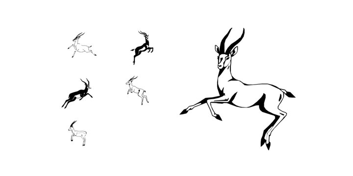 Springbok Antelope in a Leaping Pose on White Background Outline