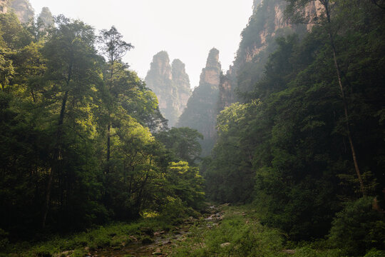 Lush canyon trails of Wulingyuan