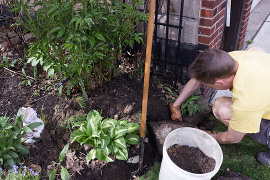 Working in the soil of a flower bed.  