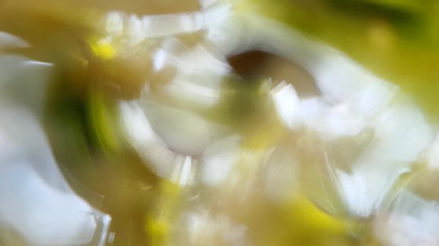 Mesmerizing dance of light and shadow on water surface creates an abstract visual symphony of nature's elements.