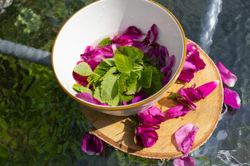 Fresh mint leaf and pink rose petal in white bowl for organic skincare, holistic spa wellness concept © Светлана Высокос
