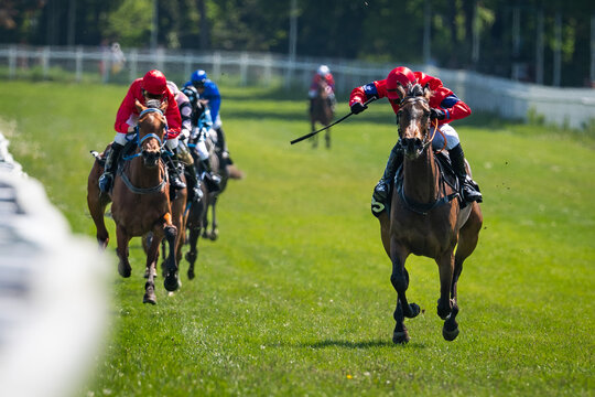 horse race with jockeys in colorful silks galloping at high speed down the green turf track during a competition.