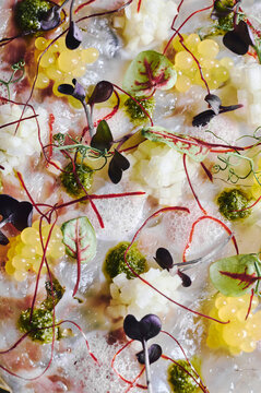 Macro shot of sea fish dish with garnish