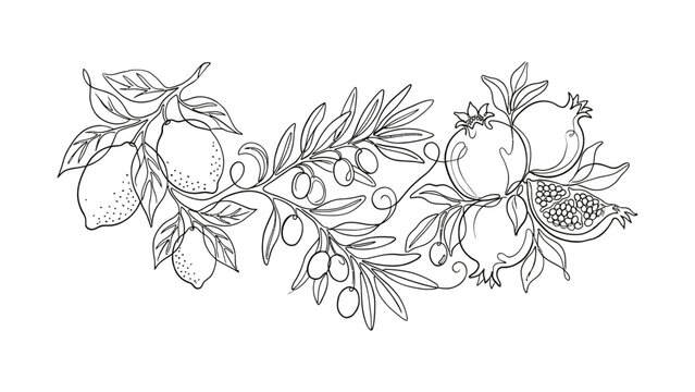 Hand drawn botanical illustration of lemons olives and pomegranates.