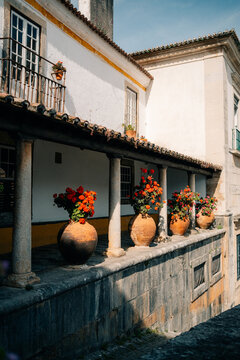 Colorful Flower Pots Line a Stone Ledge in a Historic Area