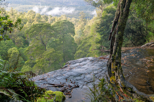 Mount Field National Park Overlook View Point