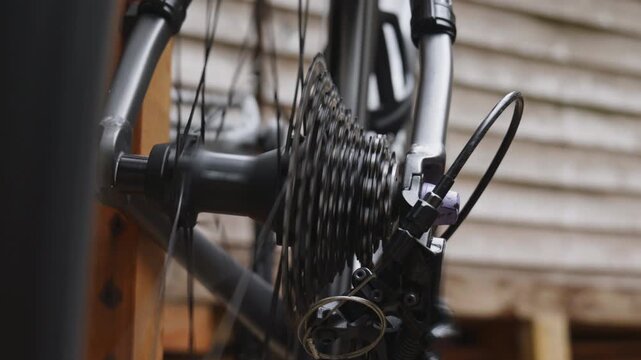 Close up of multi speed bicycle gear cassette on a rear wheel hub