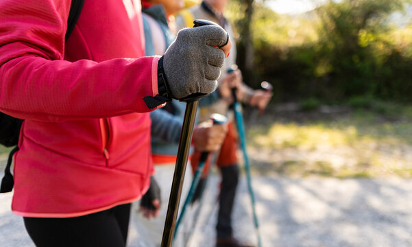 People enjoying active lifestyle with trekking poles outdoors
