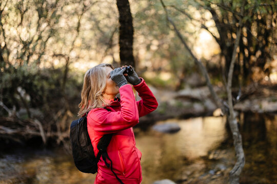Woman birdwatching and exploring nature with binoculars in forest
