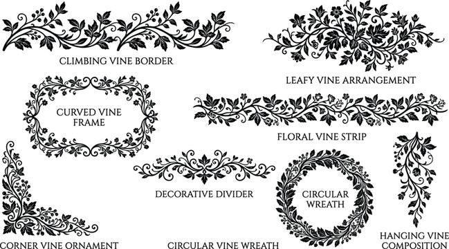 Floral vine silhouette collection with decorative borders frames circular wreaths dividers and elegant corner ornaments vector illustration in image_d1d73f.png
