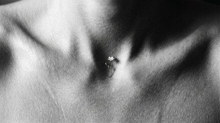 Fototapeta premium image conceptual creative stunning field of depth focus sharp quality high detailed Woman collarbone closeup photography macro shot from side