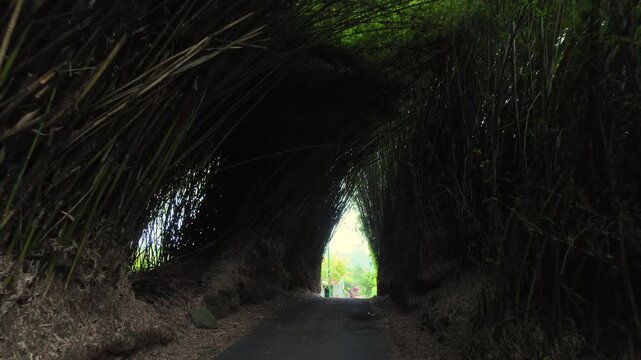 Scenic footage landscape of Hellbourg Thermes village in Salazie Cirque, Reunion Island, France	
