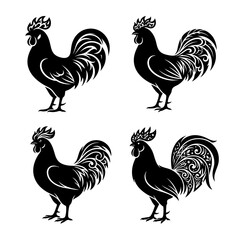 Four roosters with unique tail feathers and crests on display © Senior