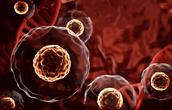Research of stem cells. Cells under a microscope. Cellular Therapy