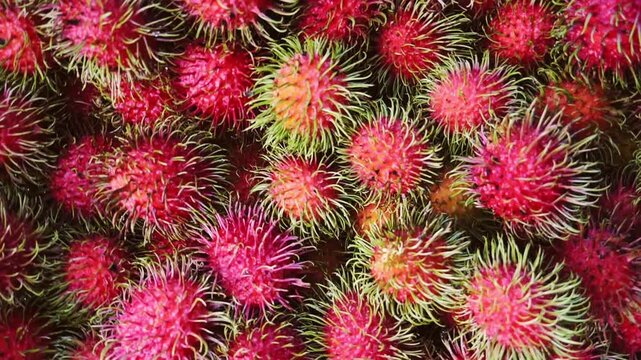 A close-up shot of ripe red rambutans, their spiky exteriors hinting at the sweet, exotic fruit within. The vibrant colors and intricate textures create a visually appealing display