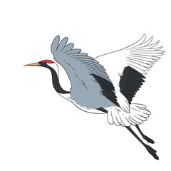 Fototapeta premium Illustrated Japanese Crane on transparent background