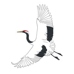 Fototapeta premium Illustrated Japanese Crane on transparent background