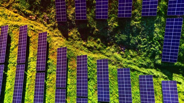 Overhead view of parallel photovoltaic module rows, providing a close up drone view of blue textures on green and orange terrain with dark shadow lines.