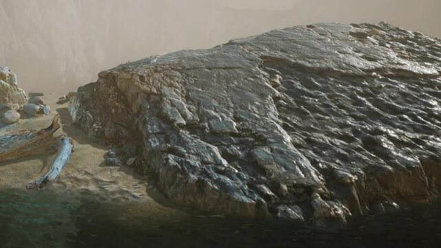 A flat rock is located on the shore with water and sand around it. The sunlight casts shadows on the rock. Waves can be seen in the distance.