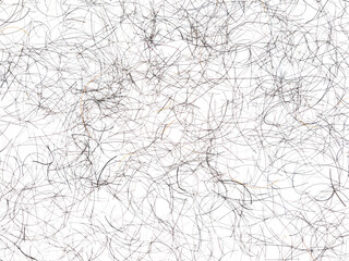 Obraz premium Chaotic pile of thin dark human hair strands scattered on white background, abstract texture with random lines, close-up macro, messy pattern for hygiene, shedding, barbershop or cleaning concepts.