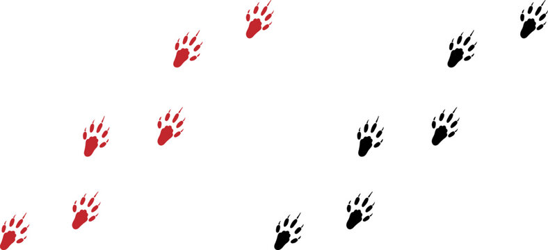 Mouse Paw Print Trail with Claws Isolated on White Background.
