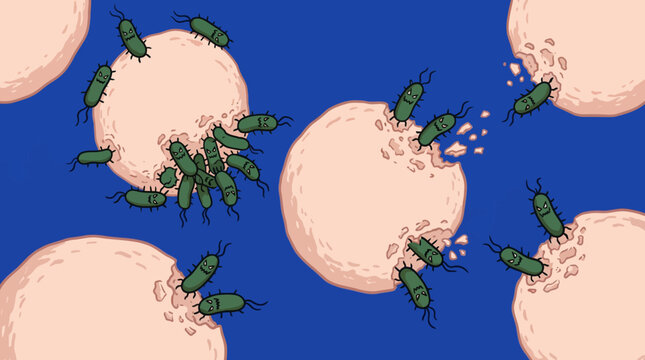 Green insects on peach illustration.