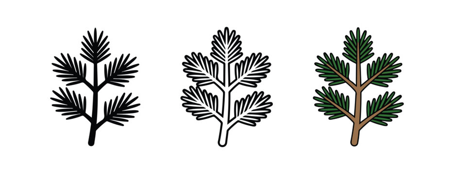  pine tree branches in different styles and colors for design and decoration purposes  illustrations