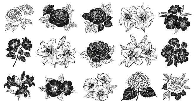 Black and white floral illustrations of various flowers