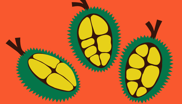 vector illustration of durain 