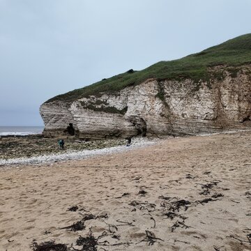 flamborough north landing, Yorkshire Nature Reserve. Flamborough. East Yorkshire coast 