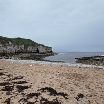 flamborough north landing, Yorkshire Nature Reserve. Flamborough. East Yorkshire coast 