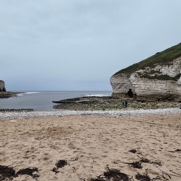 flamborough north landing, Yorkshire Nature Reserve. Flamborough. East Yorkshire coast 